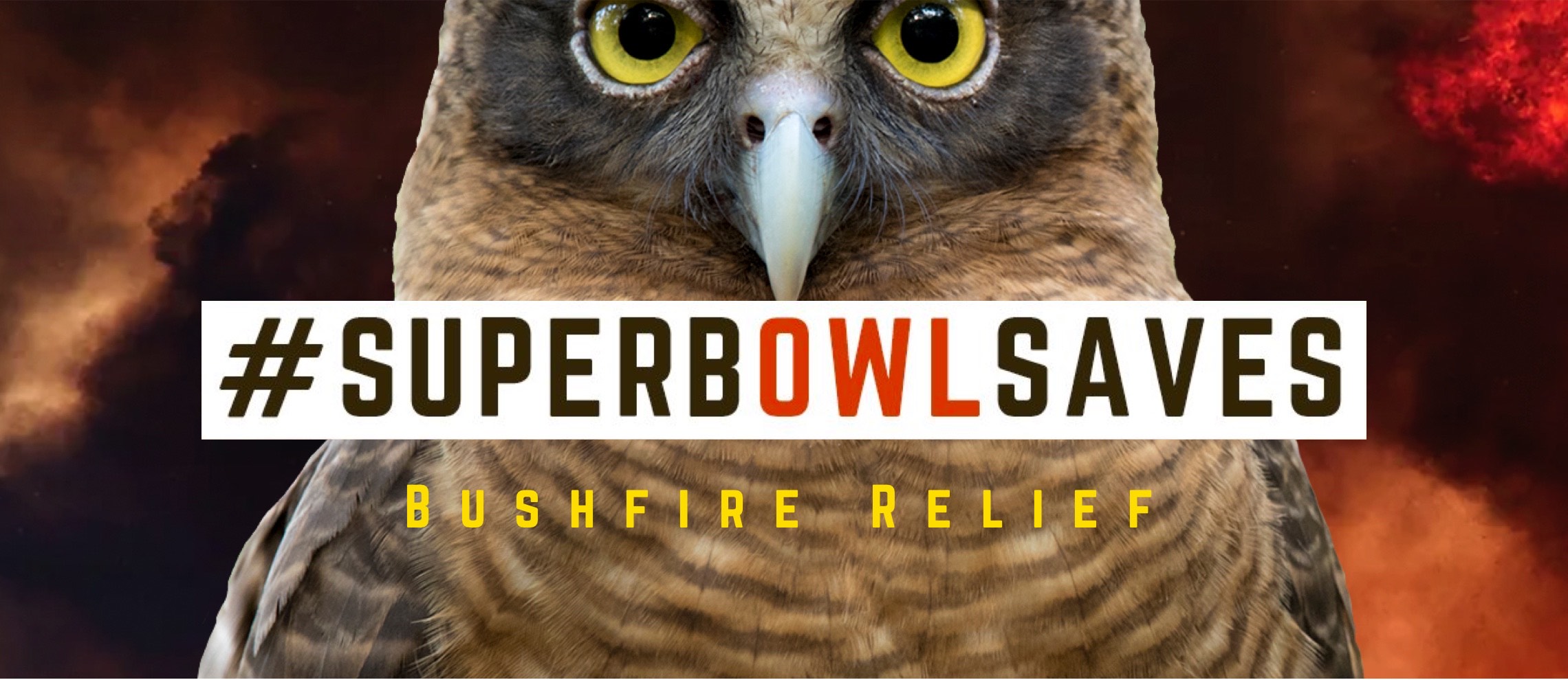 Image of an owl. "#superbowlsaves - Bushfire Relief"